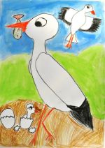 Matejovičová Zuzka.jpg